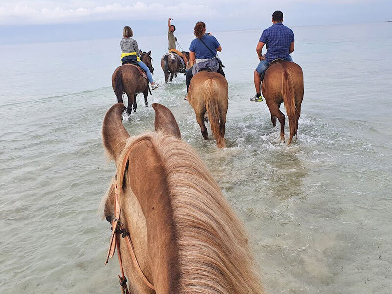 Escursione a cavallo Porto Cesareo
